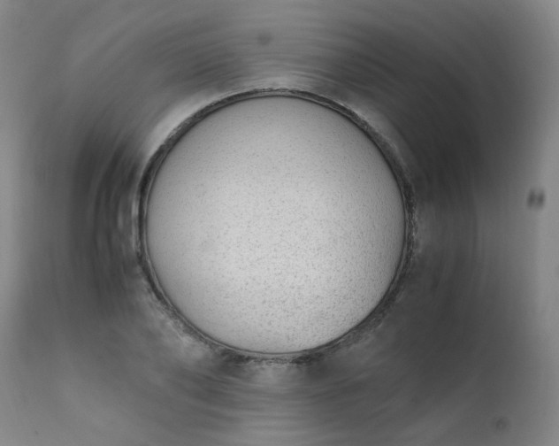 X0000111390886200907171243