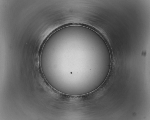 X0000111390887200907171243