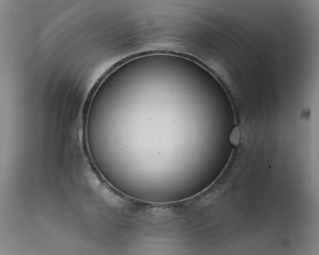 X0000111390888200907171243