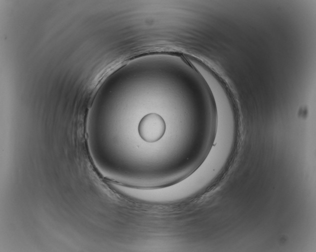 X0000111390889200907171243