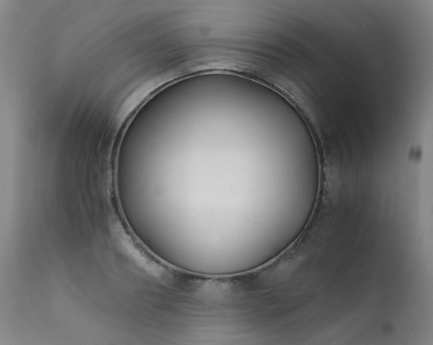 X0000111390890200907171243