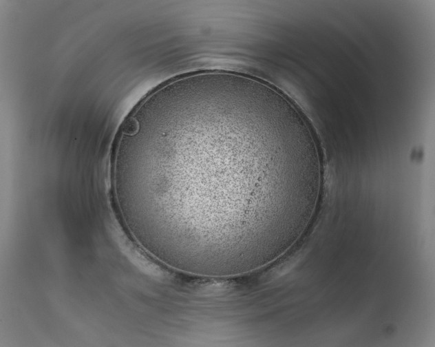 X0000111390891200907171243