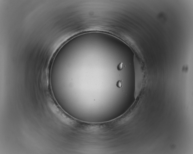 X0000111390892200907171243