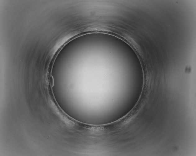 X0000111390893200907171243