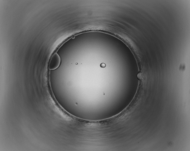 X0000111390894200907171243