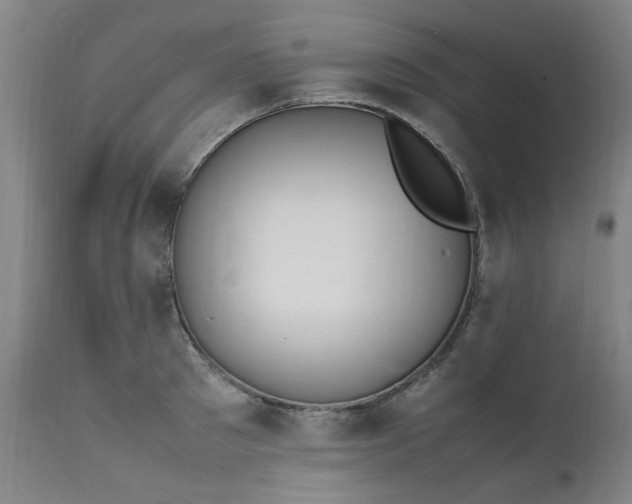 X0000111390897200907171243