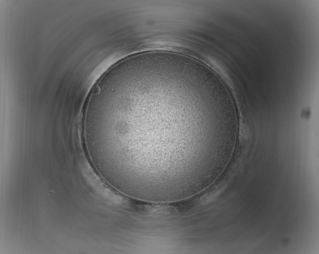 X0000111390899200907171243