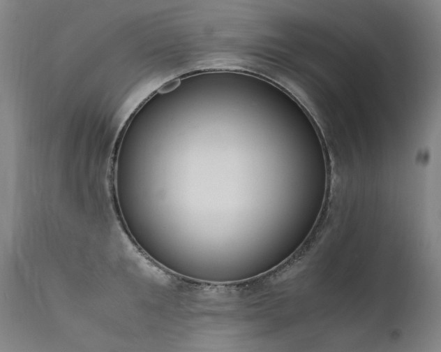 X0000111390901200907171243