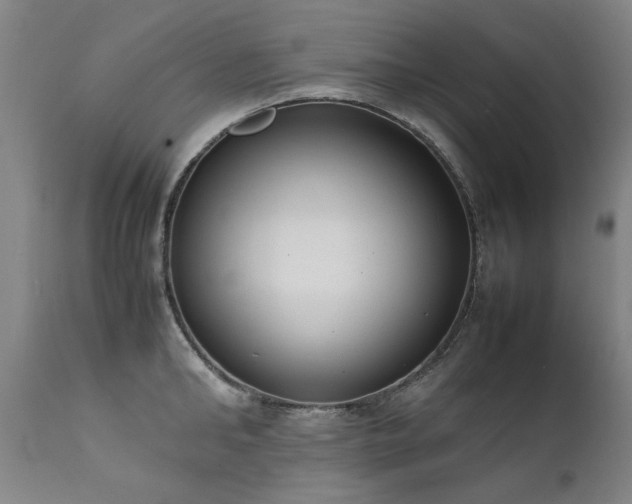 X0000111390902200907171243