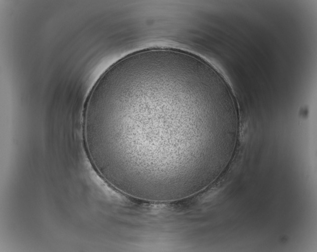 X0000111390903200907171243