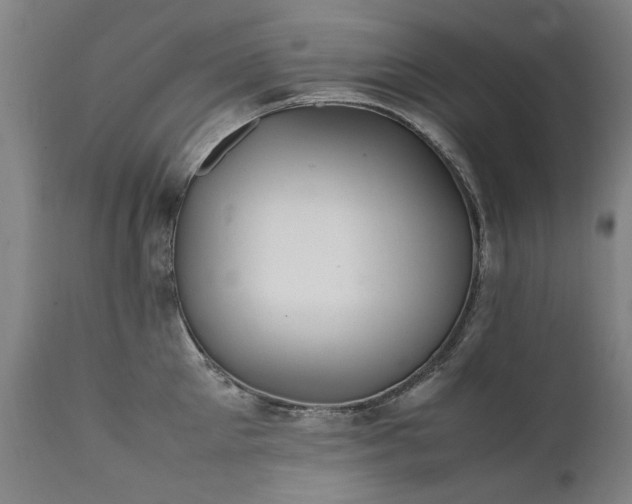 X0000111390905200907171243