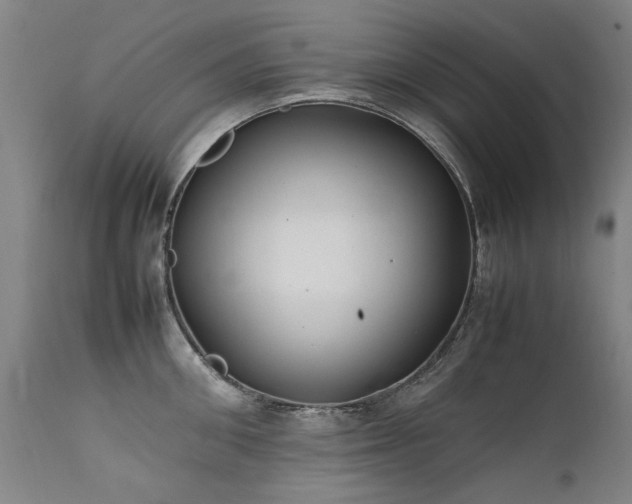 X0000111390906200907171243