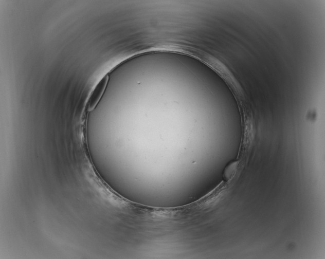 X0000111390908200907171243