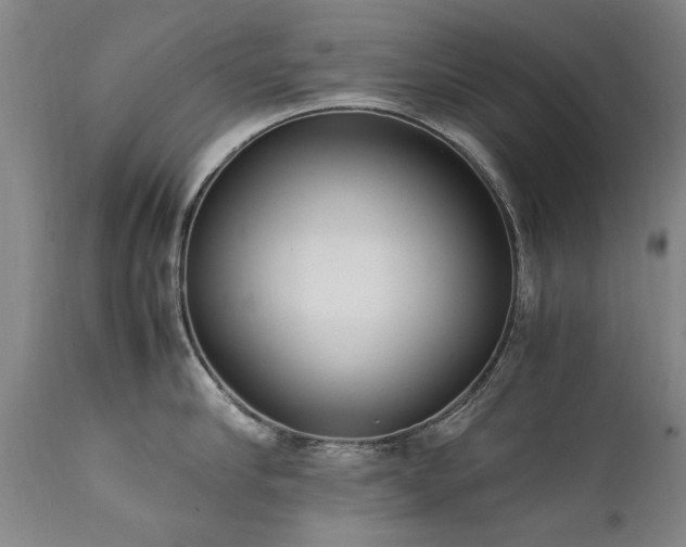 X0000111390910200907171243