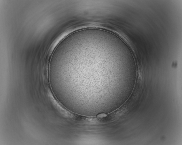 X0000111390911200907171243