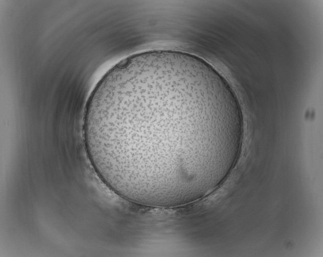 X0000111390912200907171243