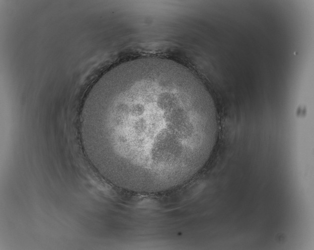 X0000111390913200907171242