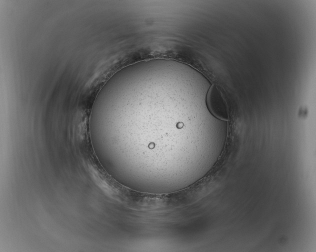 X0000111390914200907171242