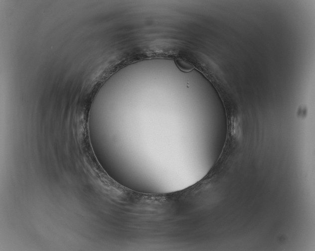 X0000111390915200907171242