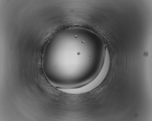 X0000111390916200907171242