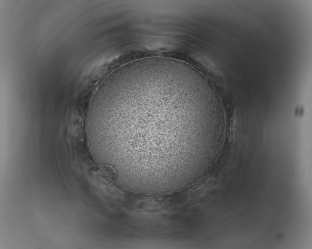 X0000111390917200907171242