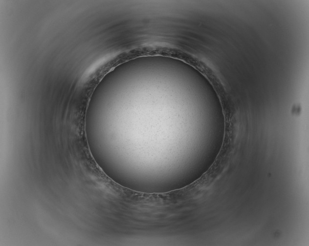 X0000111390919200907171242