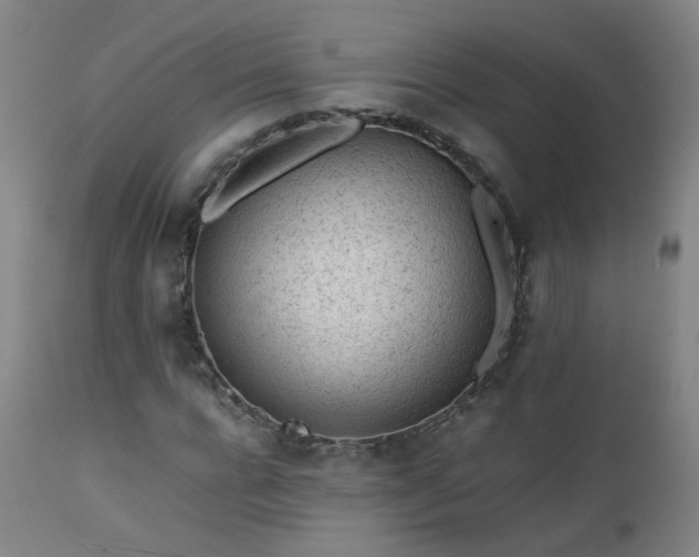 X0000111390920200907171242