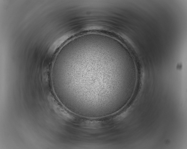 X0000111390921200907171242