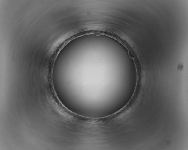 X0000111390922200907171242