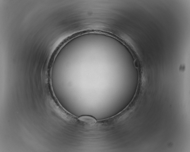 X0000111390924200907171242