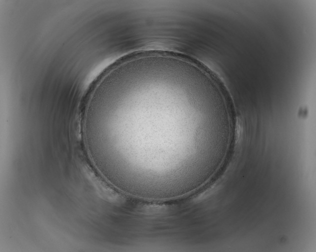 X0000111390925200907171242