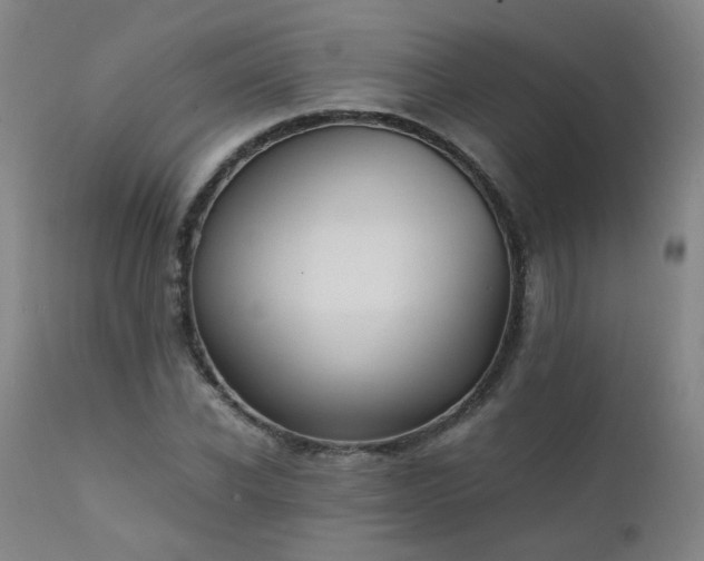 X0000111390926200907171242