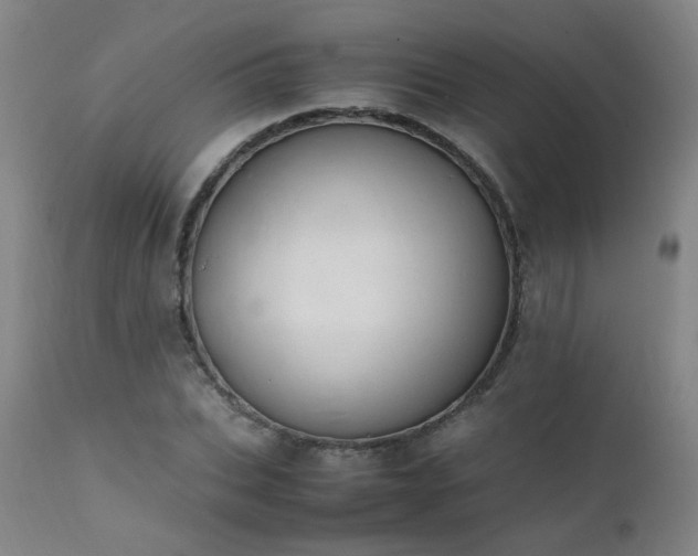 X0000111390927200907171242