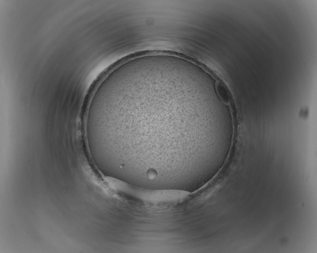 X0000111390928200907171242