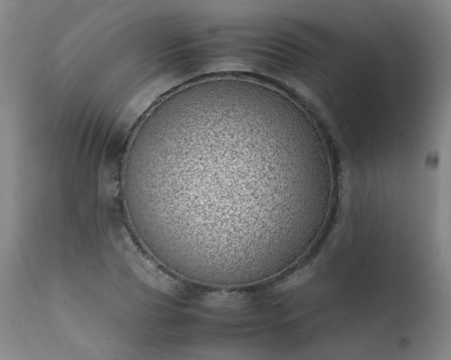 X0000111390929200907171242