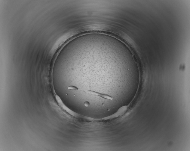 X0000111390930200907171242