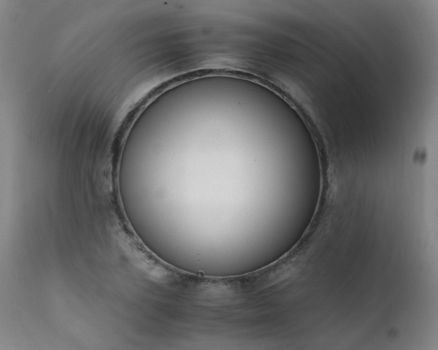 X0000111390931200907171242