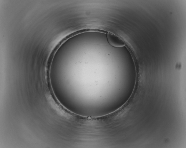 X0000111390932200907171242