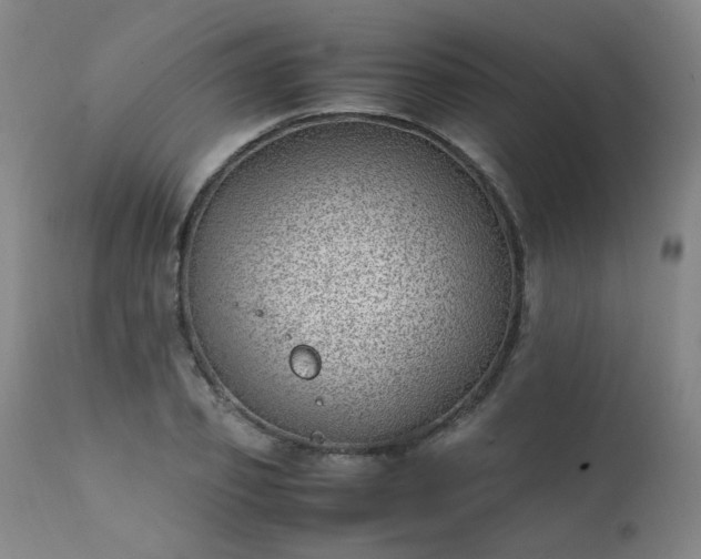 X0000111390933200907171242