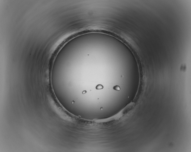 X0000111390934200907171242