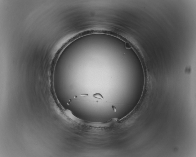 X0000111390935200907171242