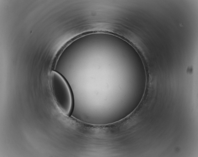 X0000111390936200907171242