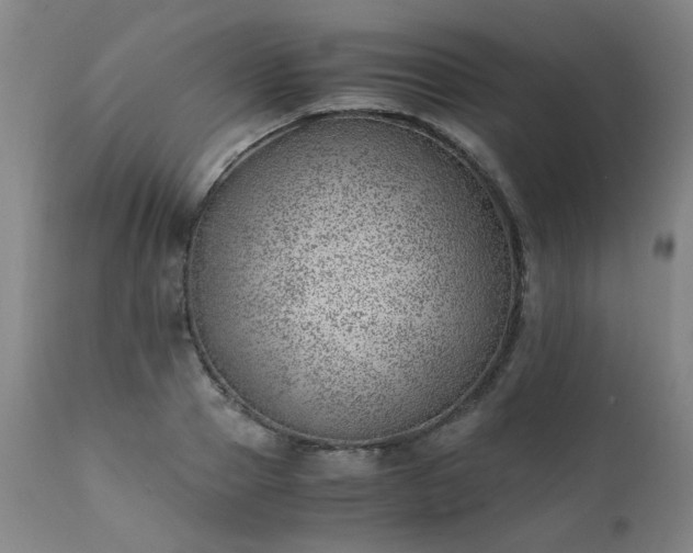 X0000111390937200907171242