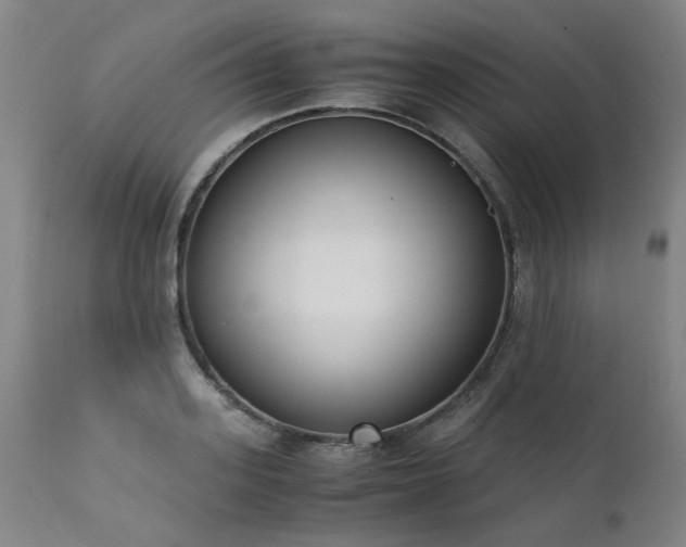 X0000111390939200907171242