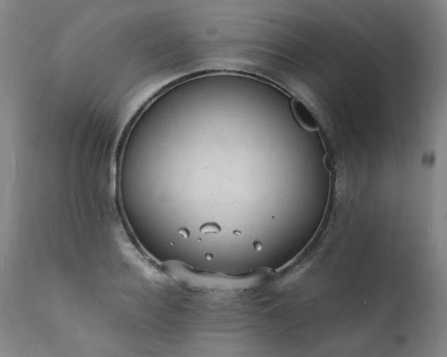 X0000111390940200907171242