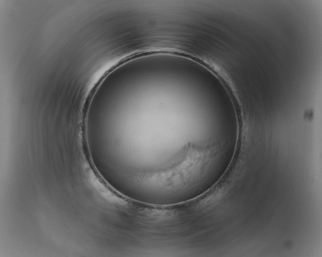 X0000111390941200907171242