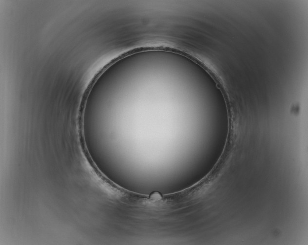 X0000111390943200907171242