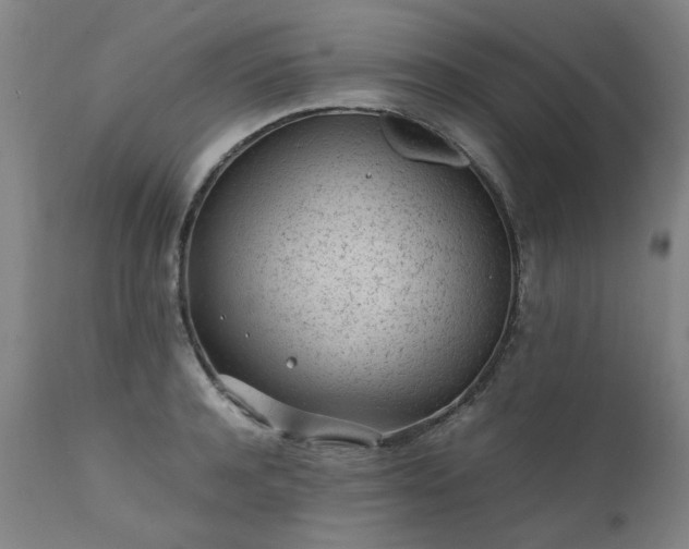 X0000111390944200907171242