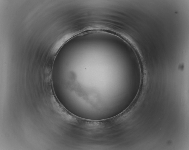 X0000111390945200907171242