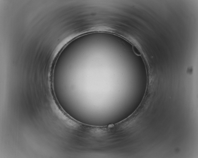 X0000111390947200907171242